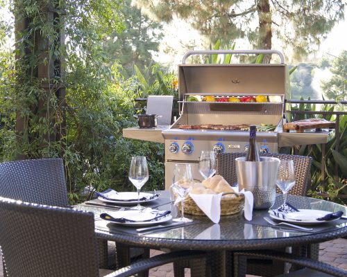 American Outdoor Grill L-Series Portable 24" Grills