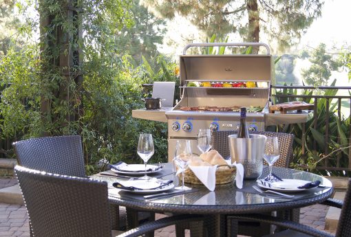 American Outdoor Grill L-Series Portable 24" Grills