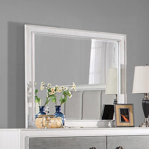 Acme Katia Rustic Gray & Weathered White Mirror