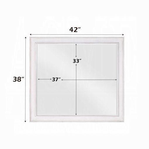 Acme Katia Rustic Gray & Weathered White Mirror - Image 7