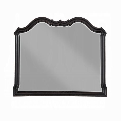 Acme Chelmsford Antique Black Mirror
