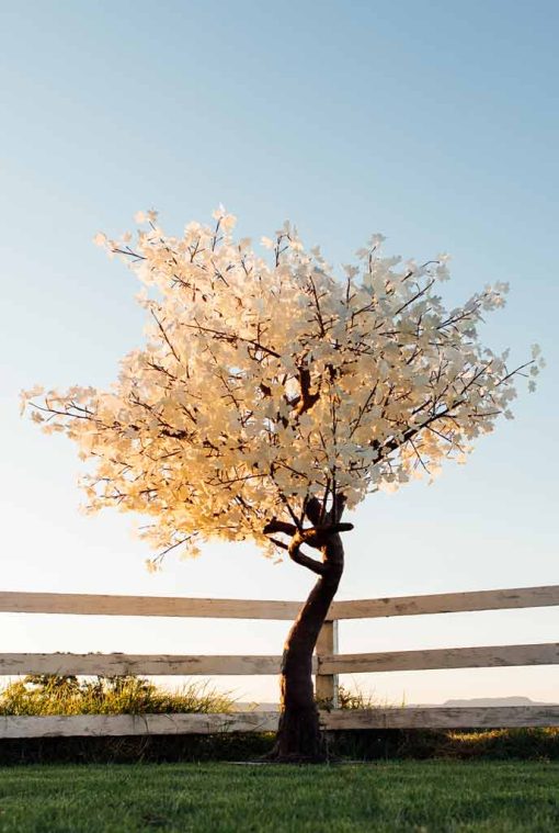 The Light Garden 2120 Light 9′ White Leaf Maple Tree Warm White Led’s - Image 2