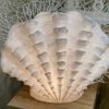 The Light Garden Standing Scallop