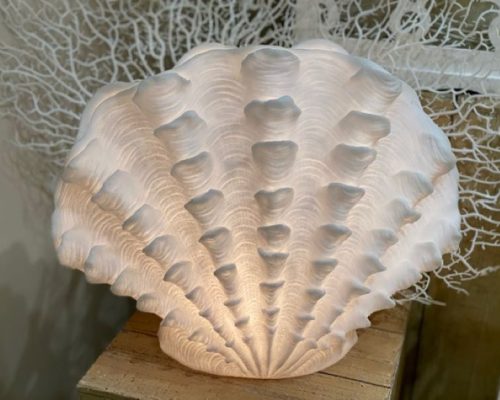 The Light Garden Standing Scallop