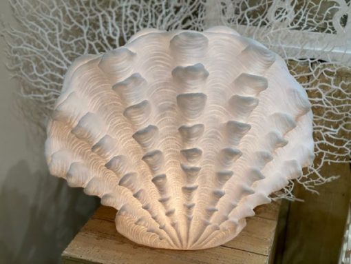 The Light Garden Standing Scallop