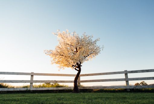 The Light Garden 2120 Light 9′ White Leaf Maple Tree Warm White Led’s