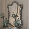 Acme Perine Gray Velvet Mirror