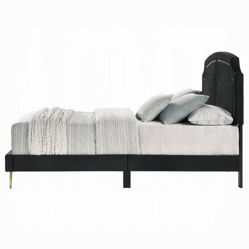 Acme Zeena Black Velvet Full Bed - Image 4