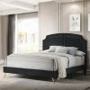 Acme Zeena Black Velvet Full Bed