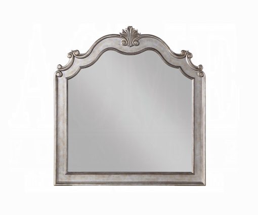 Acme Esteban Antique Champagne Mirror - Image 2