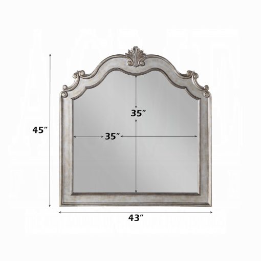 Acme Esteban Antique Champagne Mirror - Image 4