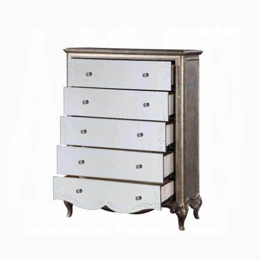 Acme Esteban Antique Champagne Chest - Image 2