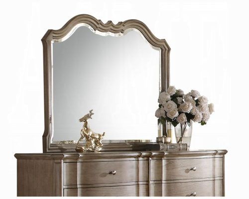 Acme Chelmsford Antique Taupe Mirror
