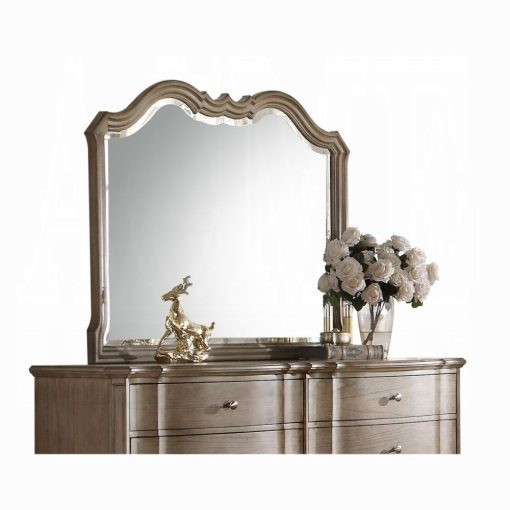Acme Chelmsford Antique Taupe Mirror