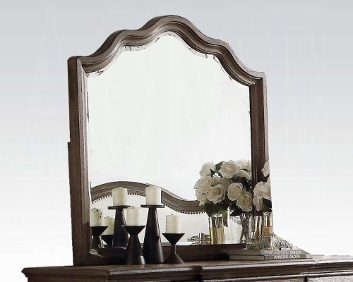 Acme Baudouin Weathered Oak Mirror