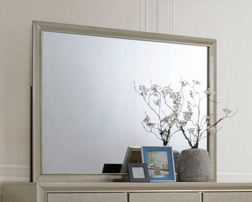 Acme Carine Champagne Mirror