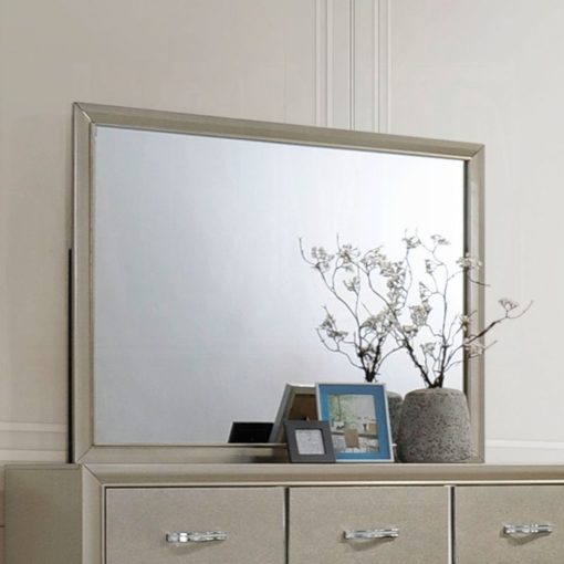 Acme Carine Champagne Mirror