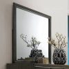 Acme Carine II Gray Mirror