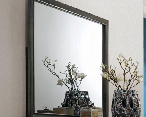Acme Carine II Gray Mirror