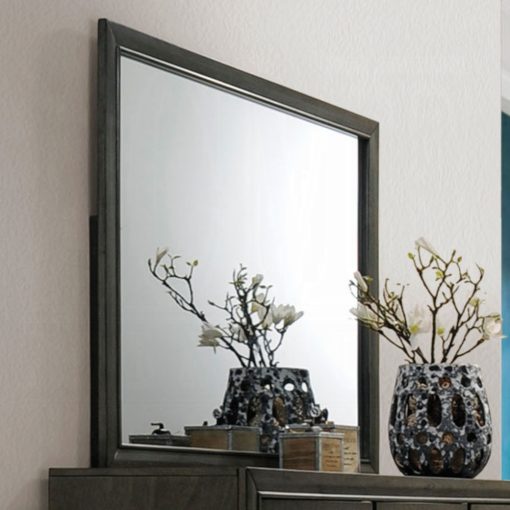 Acme Carine II Gray Mirror