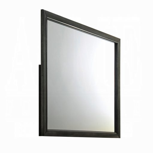 Acme Carine II Gray Mirror - Image 2