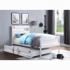 Acme Cargo Bed