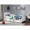 Acme Cargo Daybed with Trundle (Twin)
