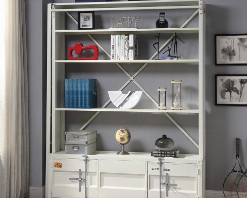 Acme Cargo Bookcase with Ladder