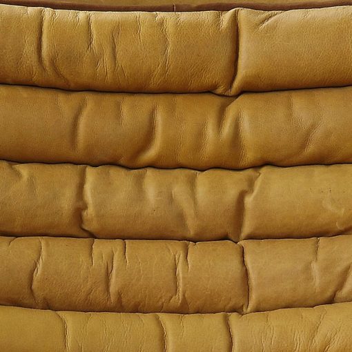 Acme Brancaster Turmeric Top Grain Leather & Aluminum Accent Chair - Image 6