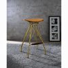 Acme Dragea Whiskey Synthetic Leather & Gold Bar Stool - Set of 2