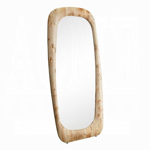 Acme Dana Floor Mirror - Image 2