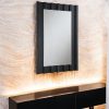 Acme Drisana Black Accent Mirror