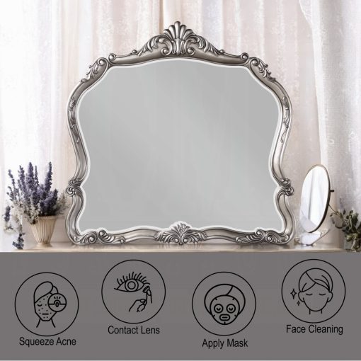 Acme Ariadne Antique Platinum Mirror - Image 5