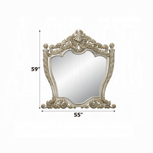 Acme Danae Champagne & Gold Mirror - Image 4