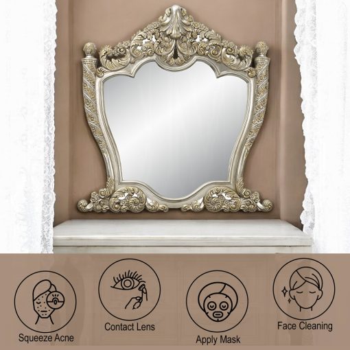 Acme Danae Champagne & Gold Mirror - Image 5