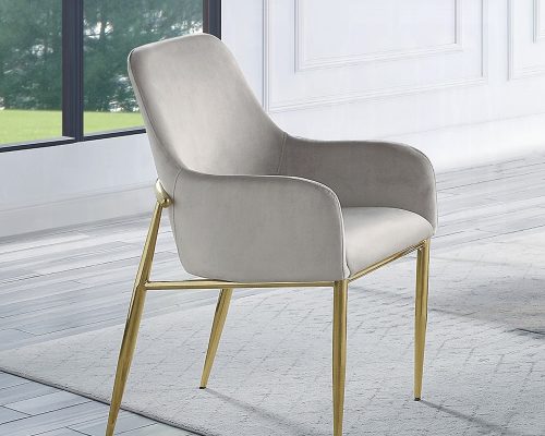 Acme Barnard Gray Velvet & Mirrored Gold Side Chair - Set of 2