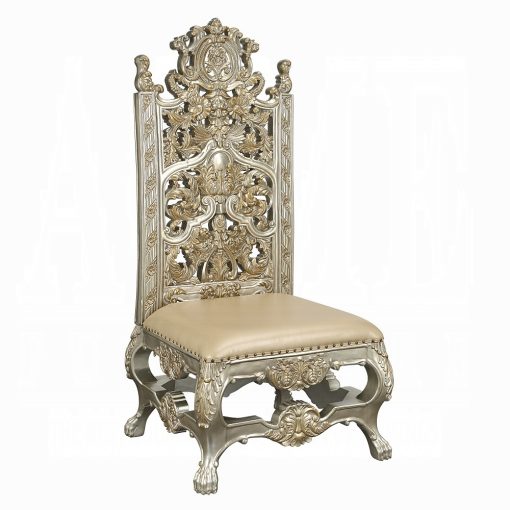 Acme Danae Synthetic Leather, Champagne & Gold Side Chair - Set of 2 - Image 2