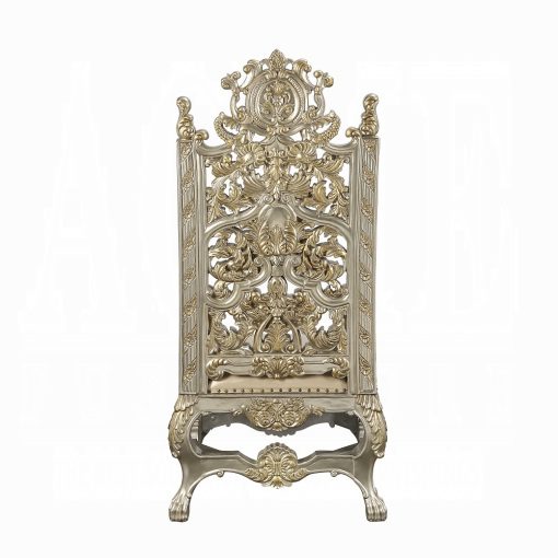 Acme Danae Synthetic Leather, Champagne & Gold Side Chair - Set of 2 - Image 5