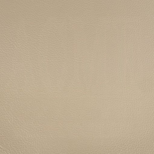 Acme Danae Synthetic Leather, Champagne & Gold Arm Chair - Set of 2 - Image 6
