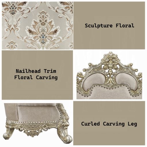 Acme Danae Fabric, Champagne & Gold Loveseat with 5 Pillows - Image 9