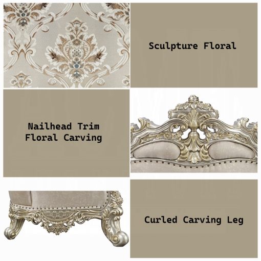 Acme Danae Fabric, Champagne & Gold Chair with 2 Pillows - Image 9