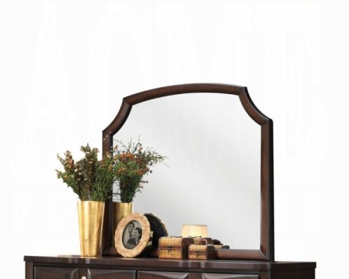 Acme Lancaster Espresso Mirror