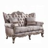 Acme Jayceon Fabric & Champagne Loveseat w/2 Pillows