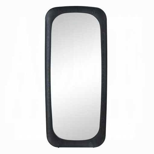 Acme Izusa Black Floor Mirror - Image 3