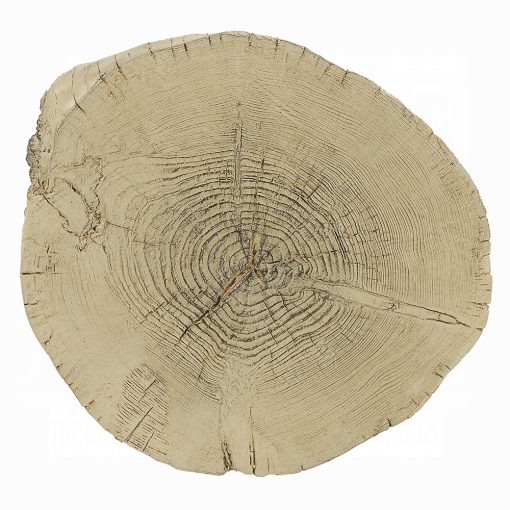 Acme Gene Accent Table - Image 4