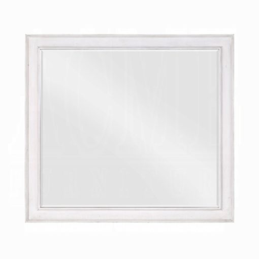 Acme Katia Rustic Gray & Weathered White Mirror - Image 2