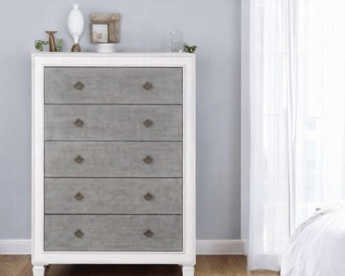 Acme Katia Rustic Gray & Weathered White Chest