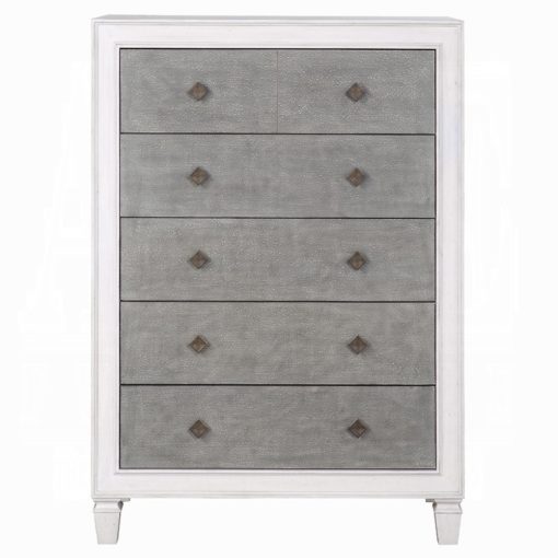 Acme Katia Rustic Gray & Weathered White Chest - Image 3