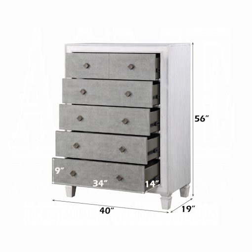Acme Katia Rustic Gray & Weathered White Chest - Image 5