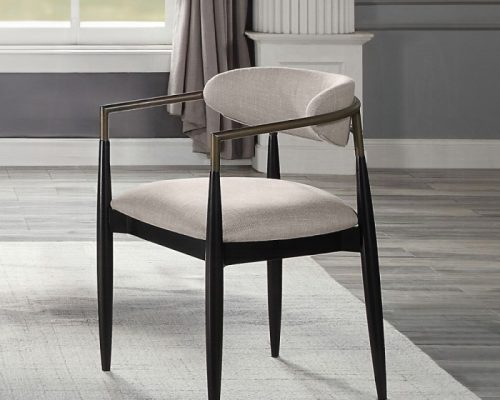 Acme Jaramillo Arm Chair - Set of 2